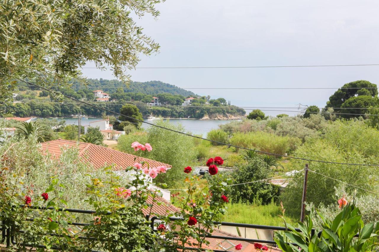 Studios Eleni * Platanias (Skiathos)