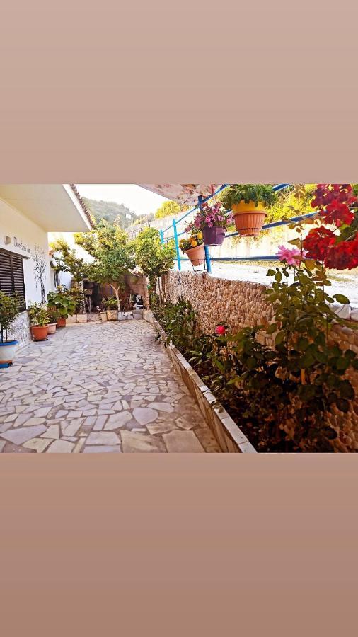 Olive Tree Holiday home Lygia (Epirus)