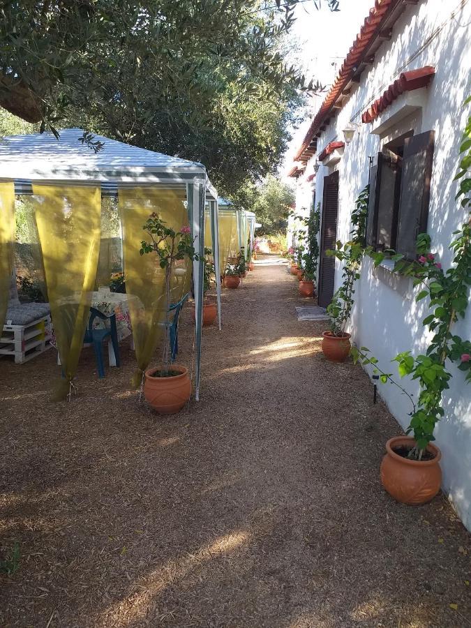 Traditional The Small Museum Ionian Sea *