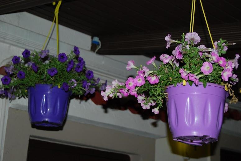 Traditional The Small Museum Ionian Sea Guest house *