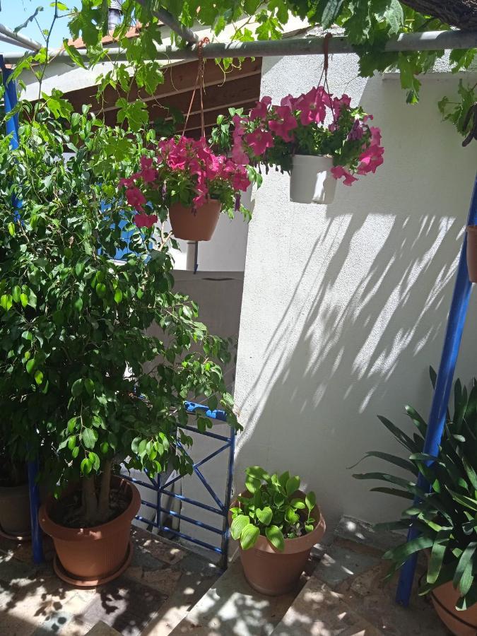 To Limanaki Apartment