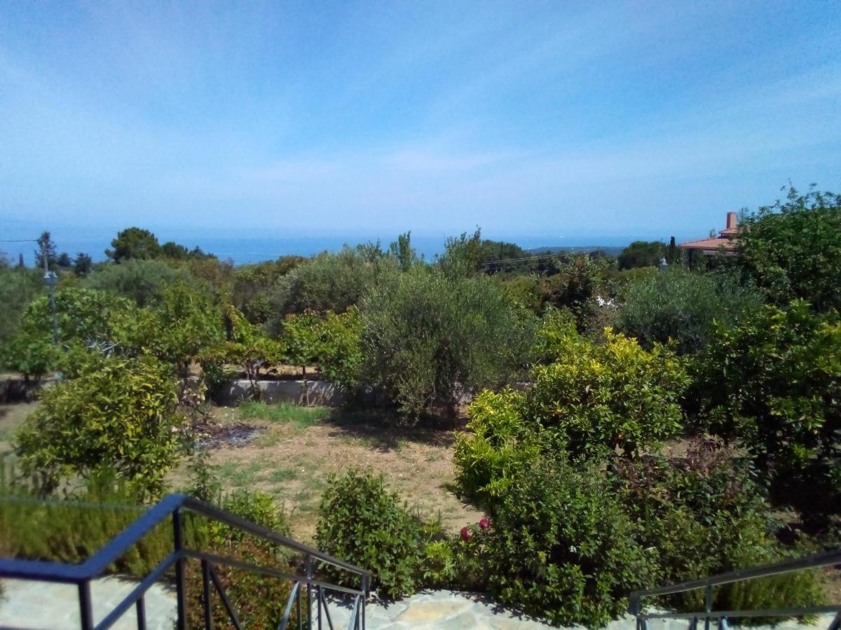 Panorama