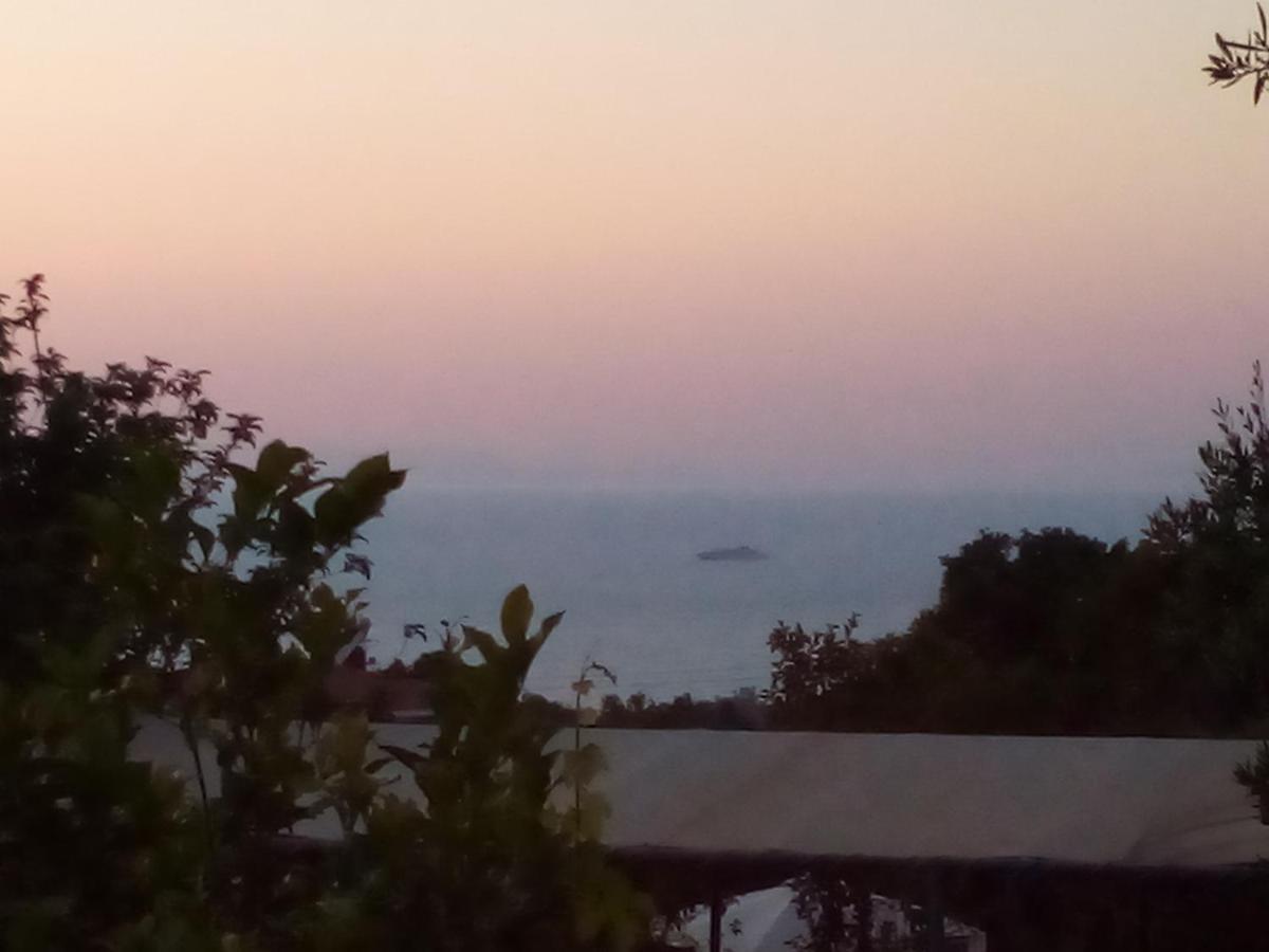Panorama *