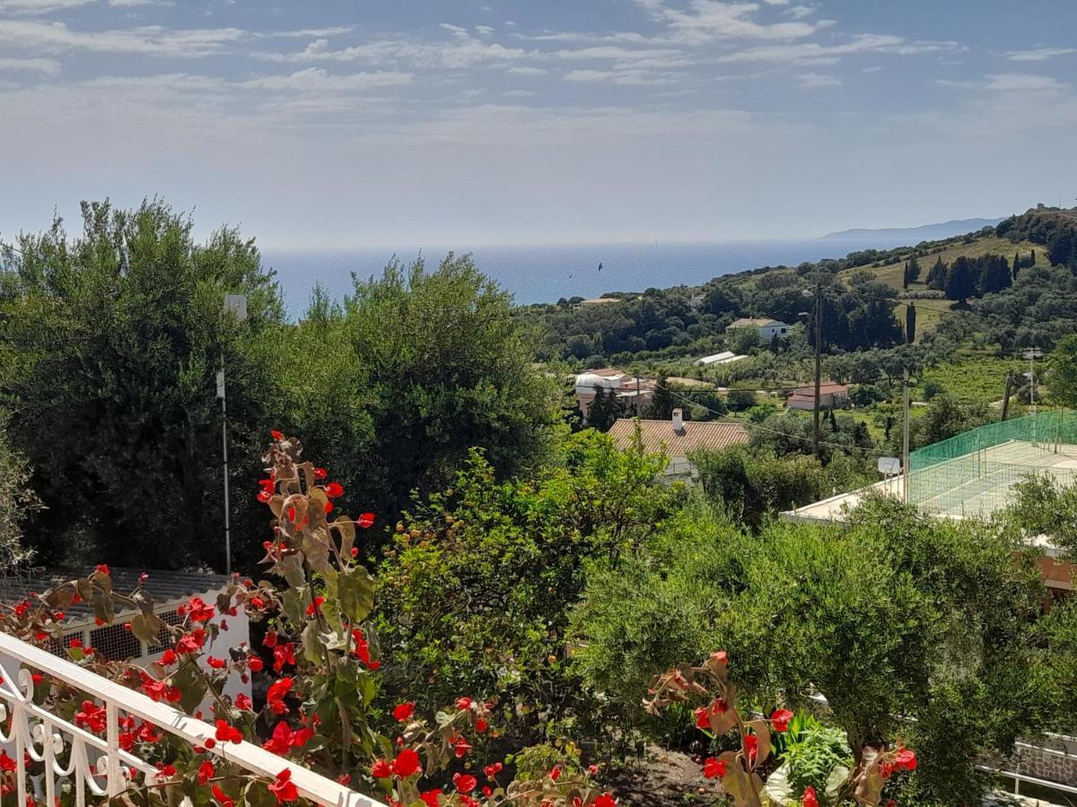 Apartment Angelos Apartment's Arillas (Corfu)