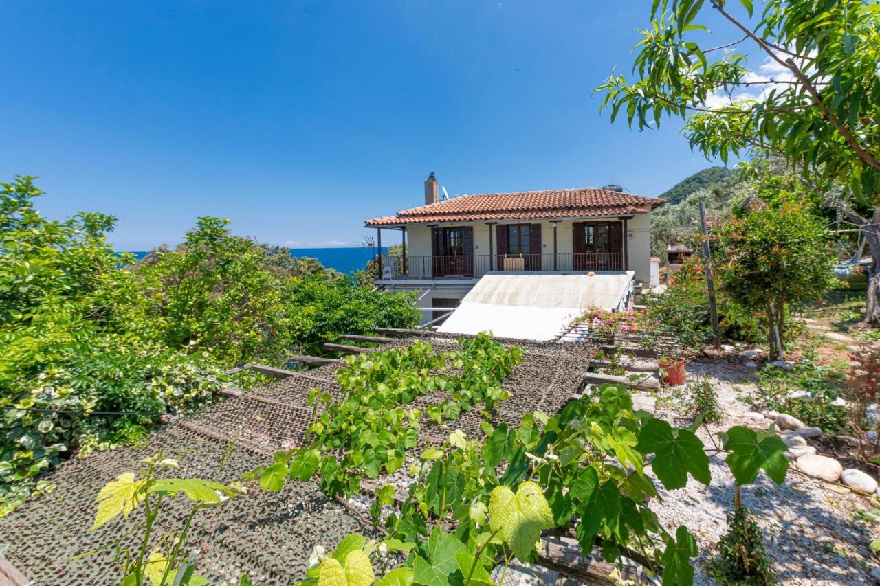 Katerina Fotopoulos & - Papanero Com Apartment Agios Ioannis (Thessaly)