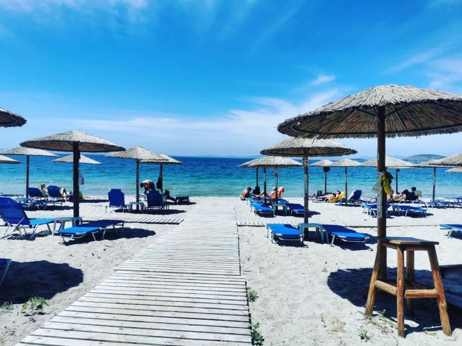 Campsite Camping Drepanos Igoumenitsa