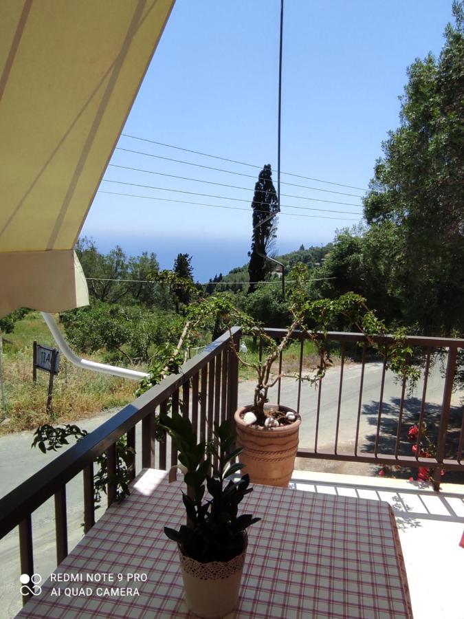 Malibu * Glyfada (Corfu)