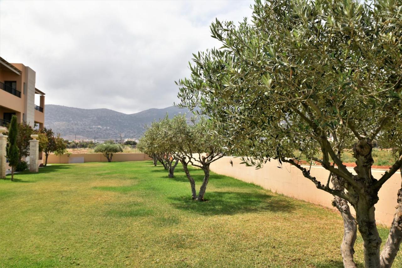 Aparthotel Golden Bay Malia (Crete)