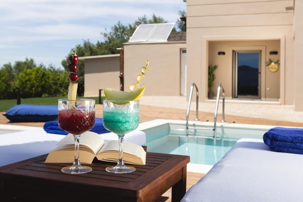 Diomani Maison - Private Pool & Sea View, By Zantewize Holiday home