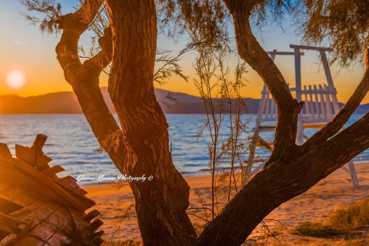 Mikri Vigla Hotel Beach Resort