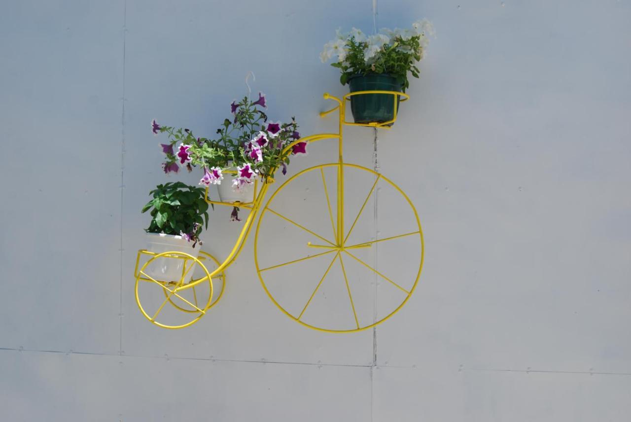 Luxury Traditional The Small Bookstore * Kastro-Kyllini
