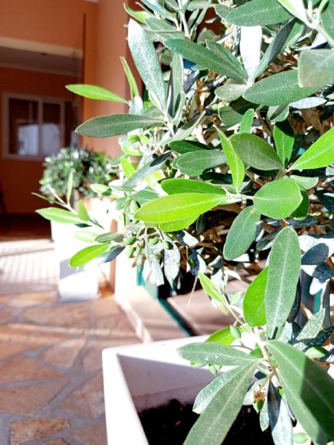 Vergina Star Hotel Nikiana