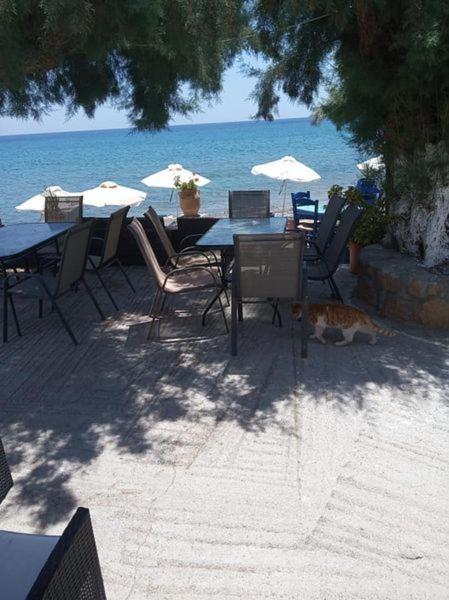 Beachfront Kato Zakros