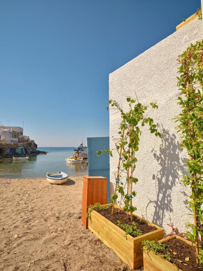 The Elephant House Apartment Kimolos