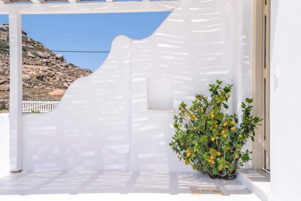 Aegean Blue By Llb - In 500m. Mykonos Town