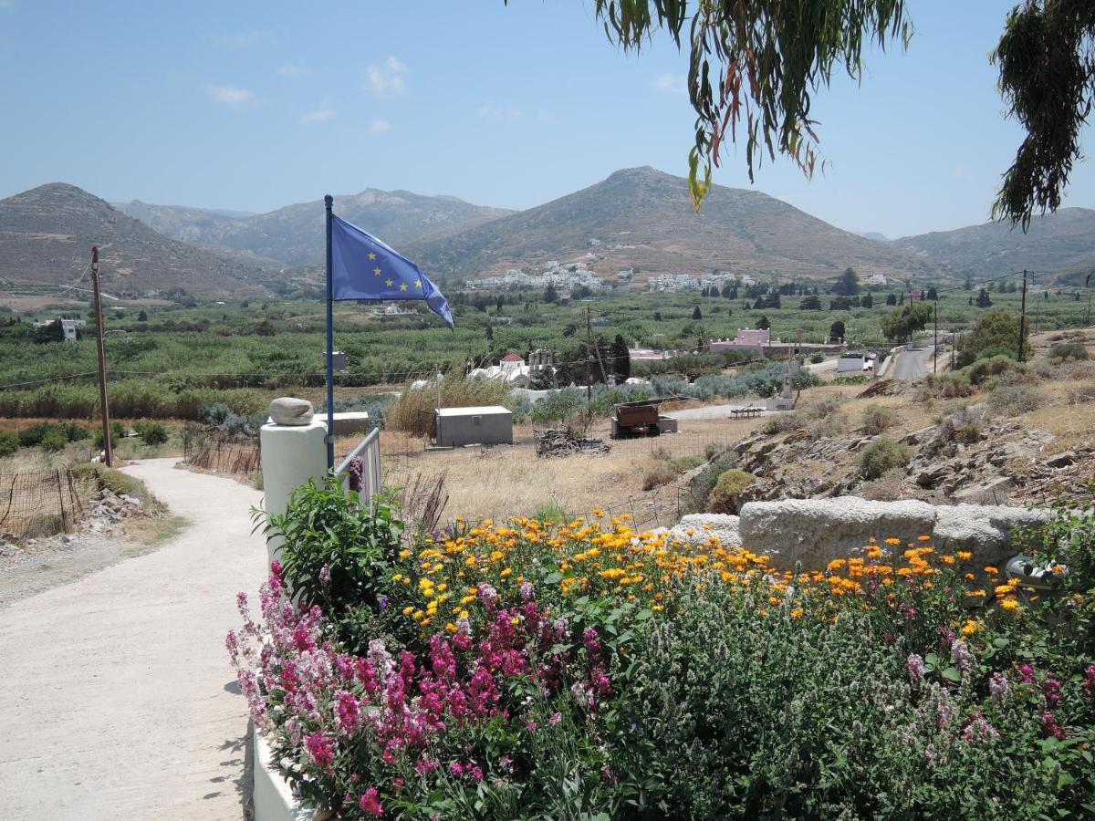 Kapsali Apartment Galini (Naxos)