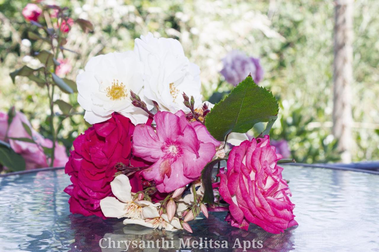 Chrysanthi Melitsa Apts. Holiday home *