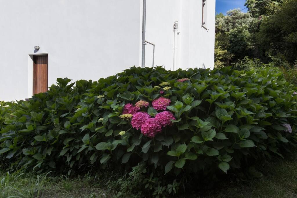 Aegean's Whispery Seafront Holiday home Chorefton
