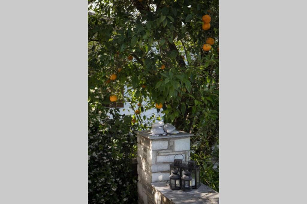 Aegean's Whispery Seafront Holiday home *