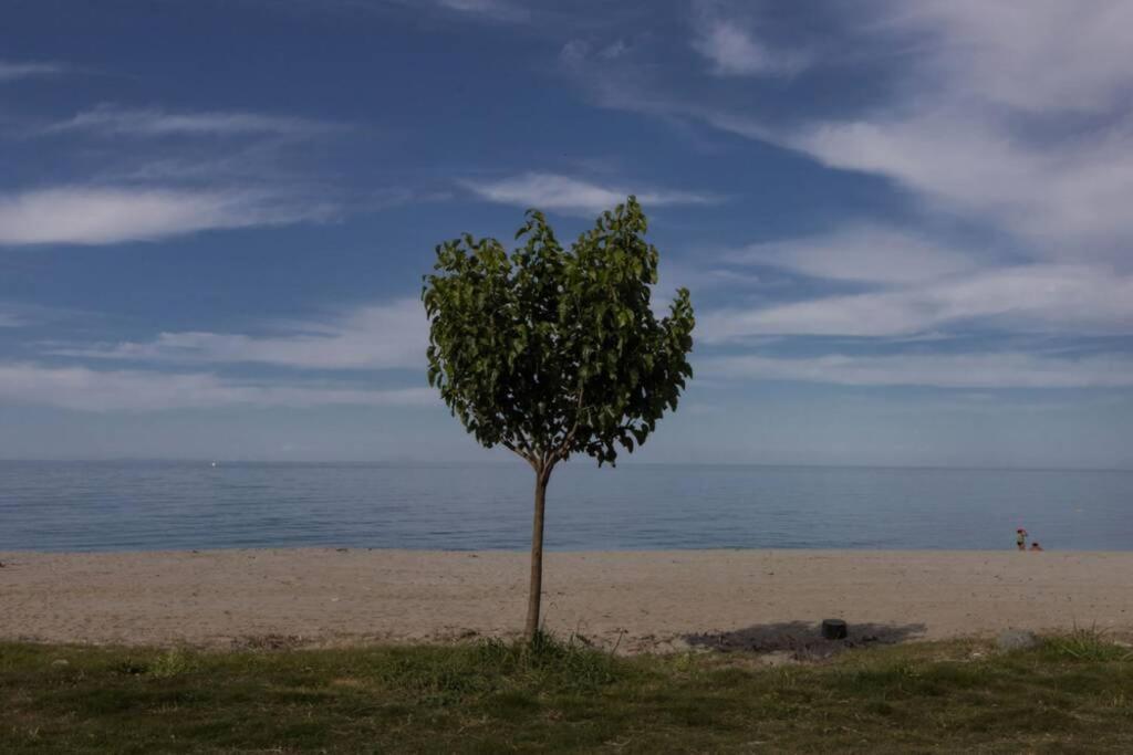 Aegean's Whispery Seafront