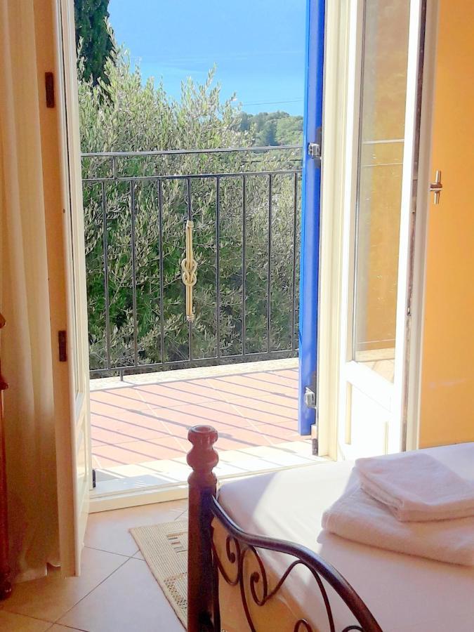 Olivetree House