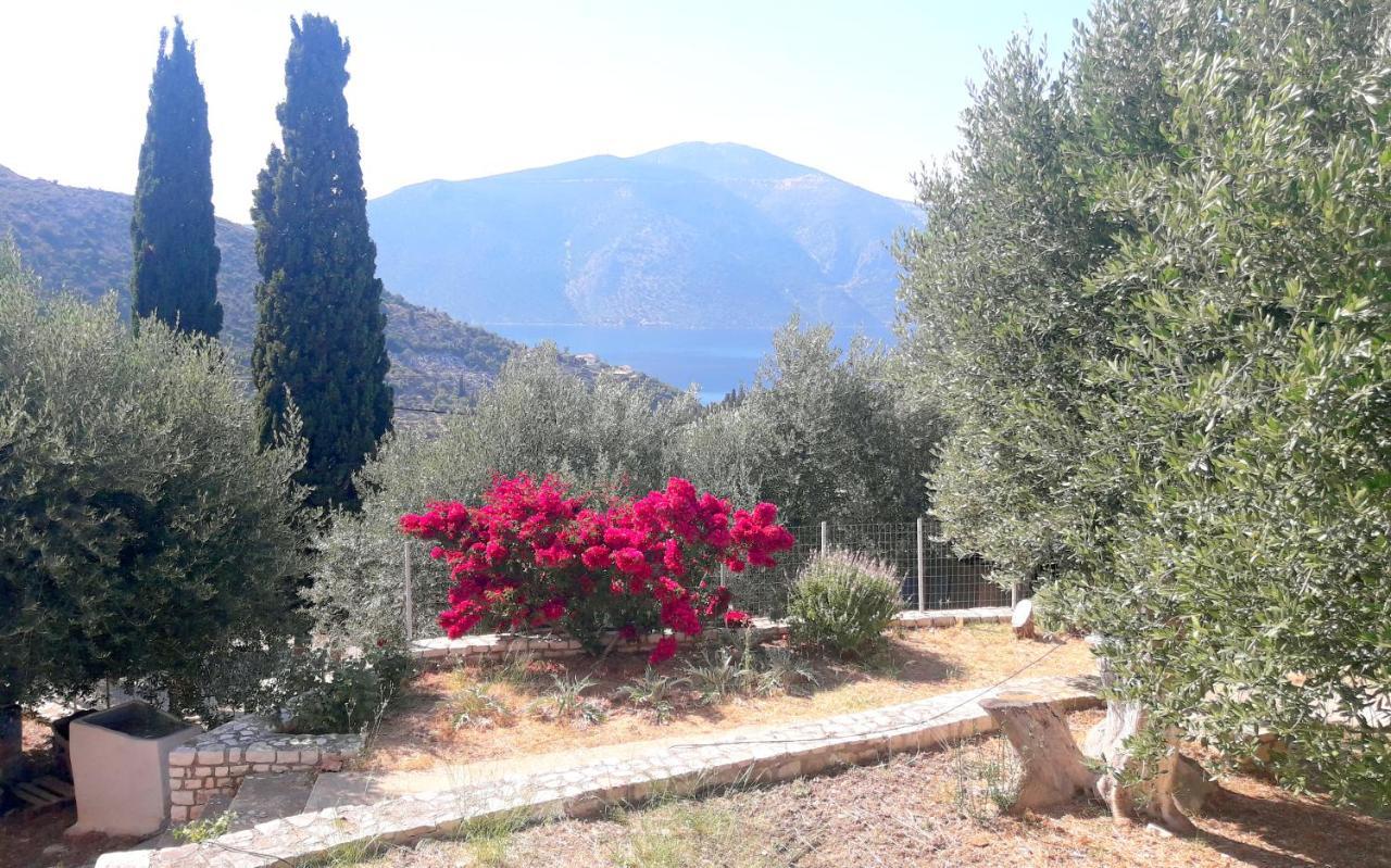 Holiday home Olivetree House