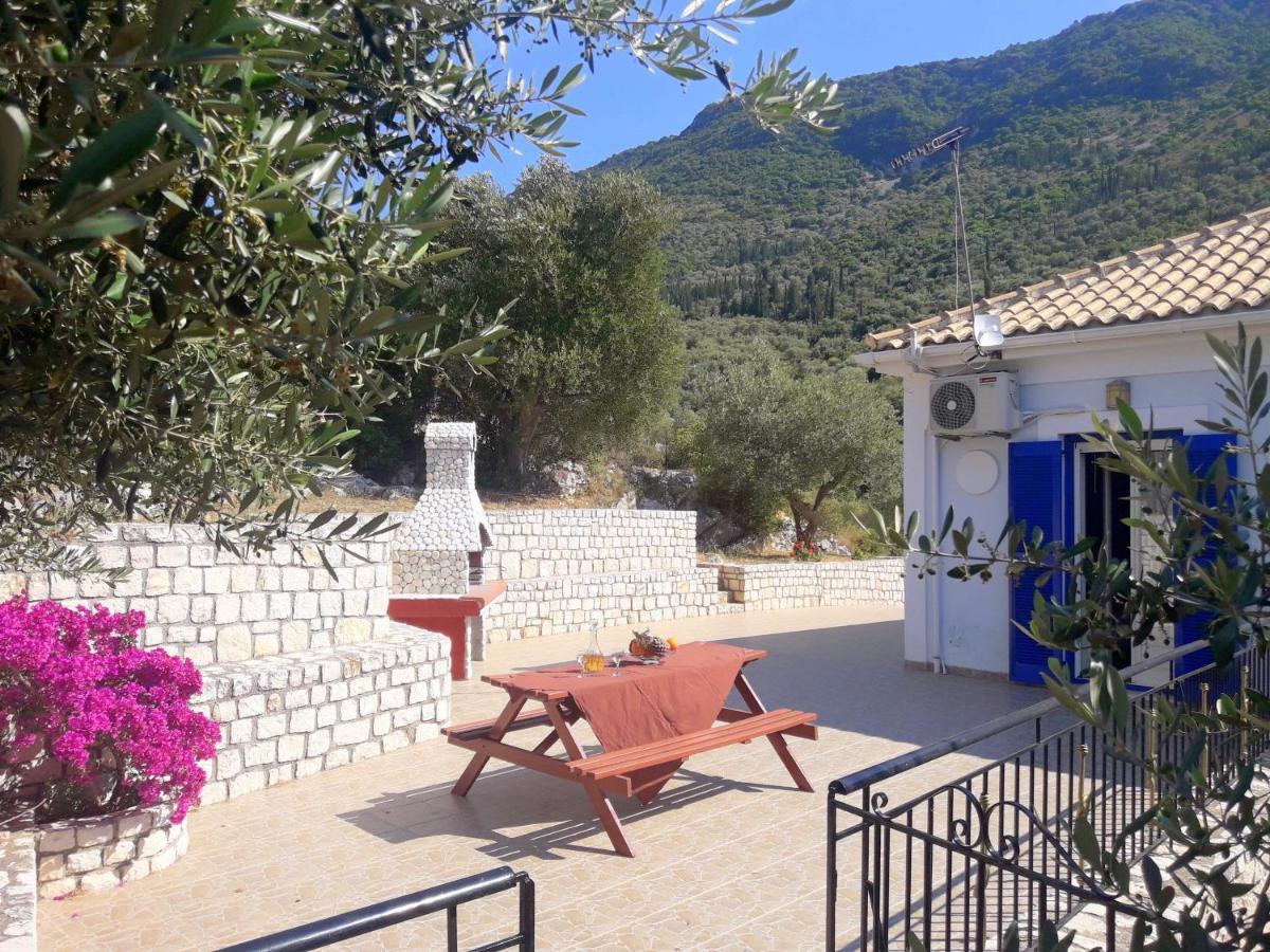 Olivetree House Holiday home