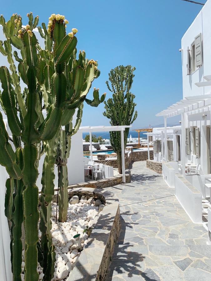 Hotel Damianos Mykonos 3*