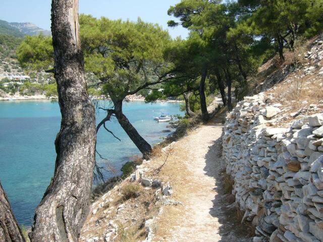Apartment House Aliki (Thasos)