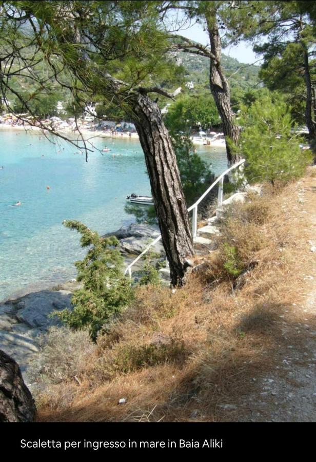 House * Aliki (Thasos)