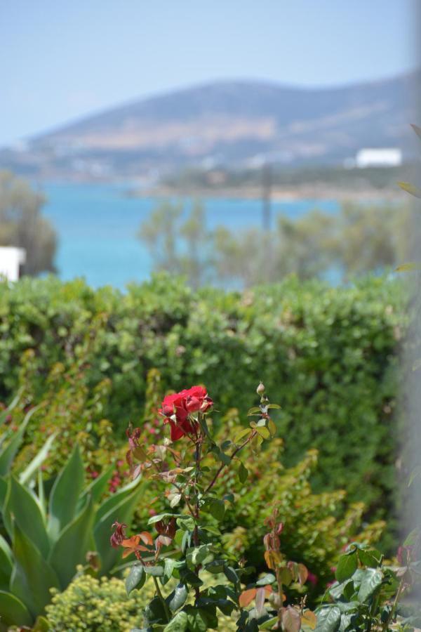 Aparthotel Thalasea - Village Antiparos