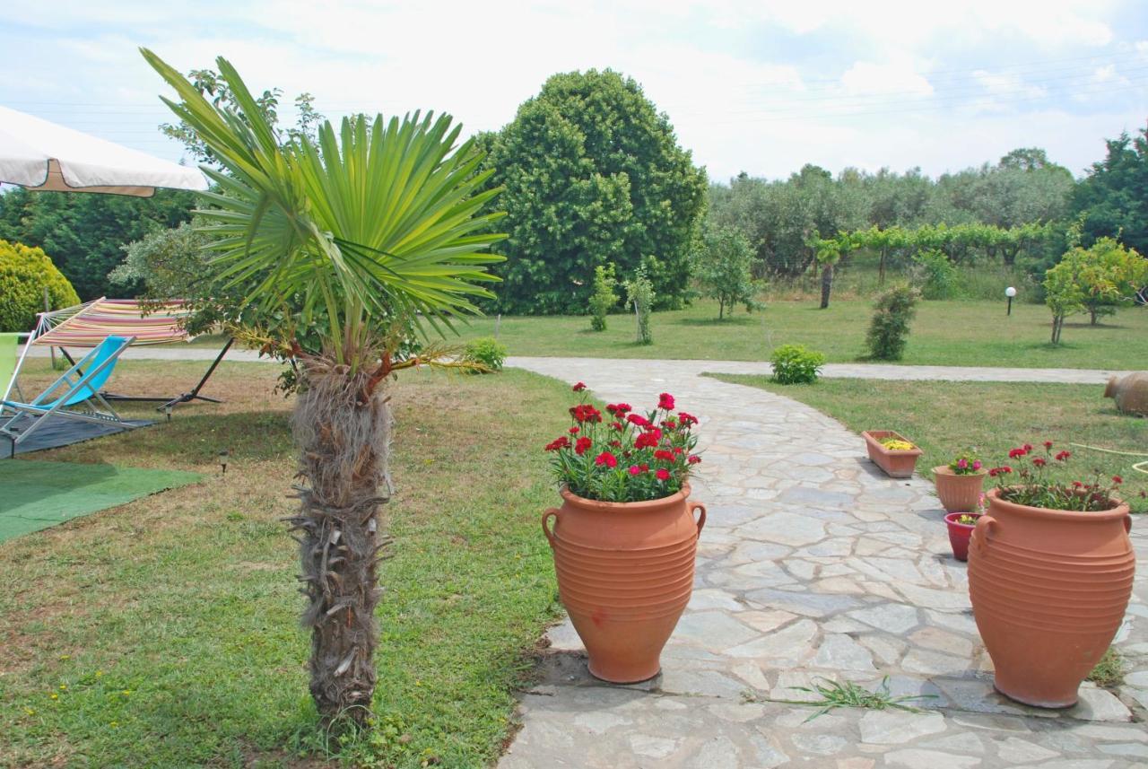 Casa Consta Olympus Holiday home Litochoro