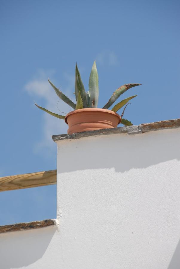 Apartment Magic Land Plaka (Naxos)