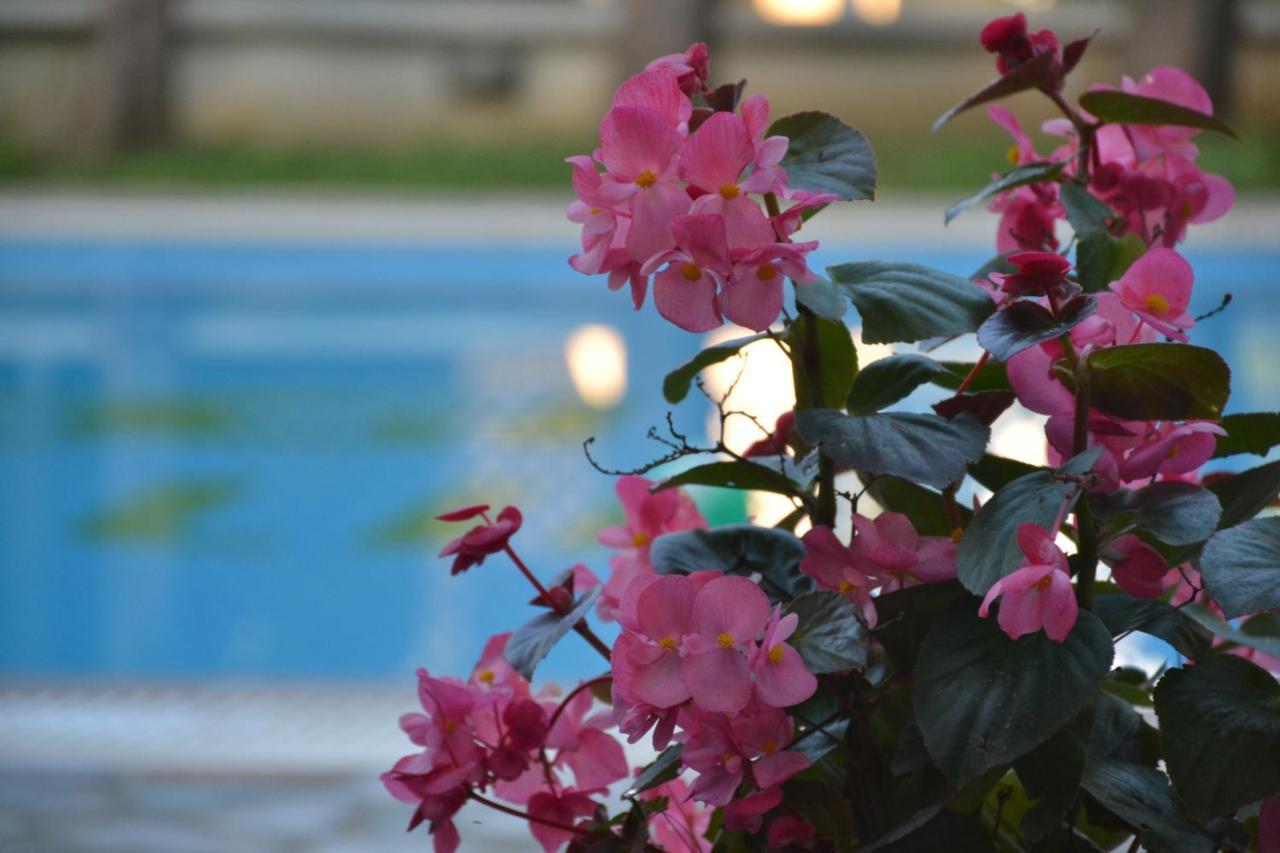 Corfu Hellinis Kanoni (Corfu)