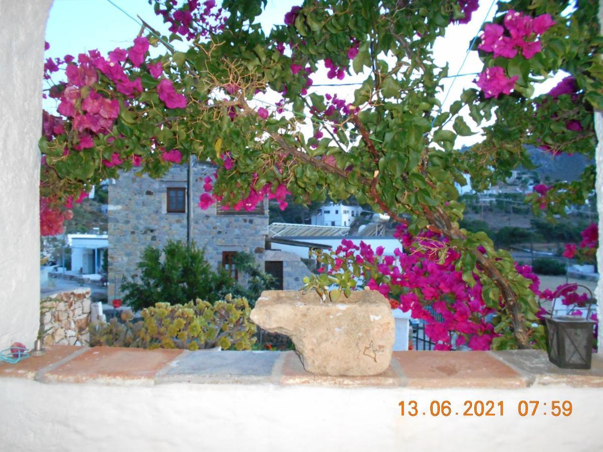 Eco House Holiday home