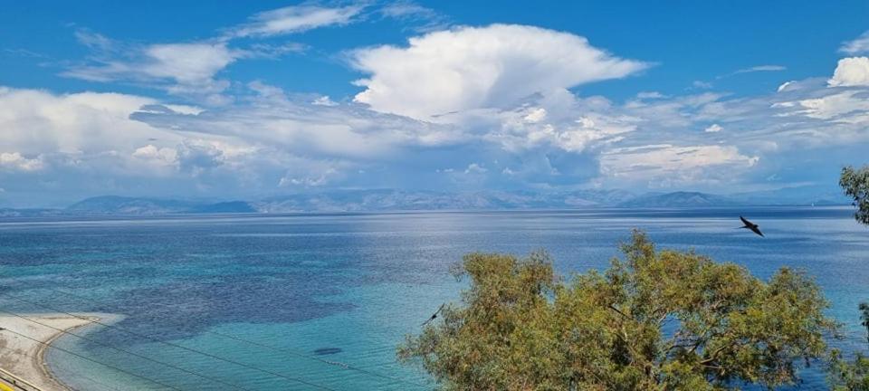 Ionian Mare * Agios Ioannis Peristeron (Corfu)