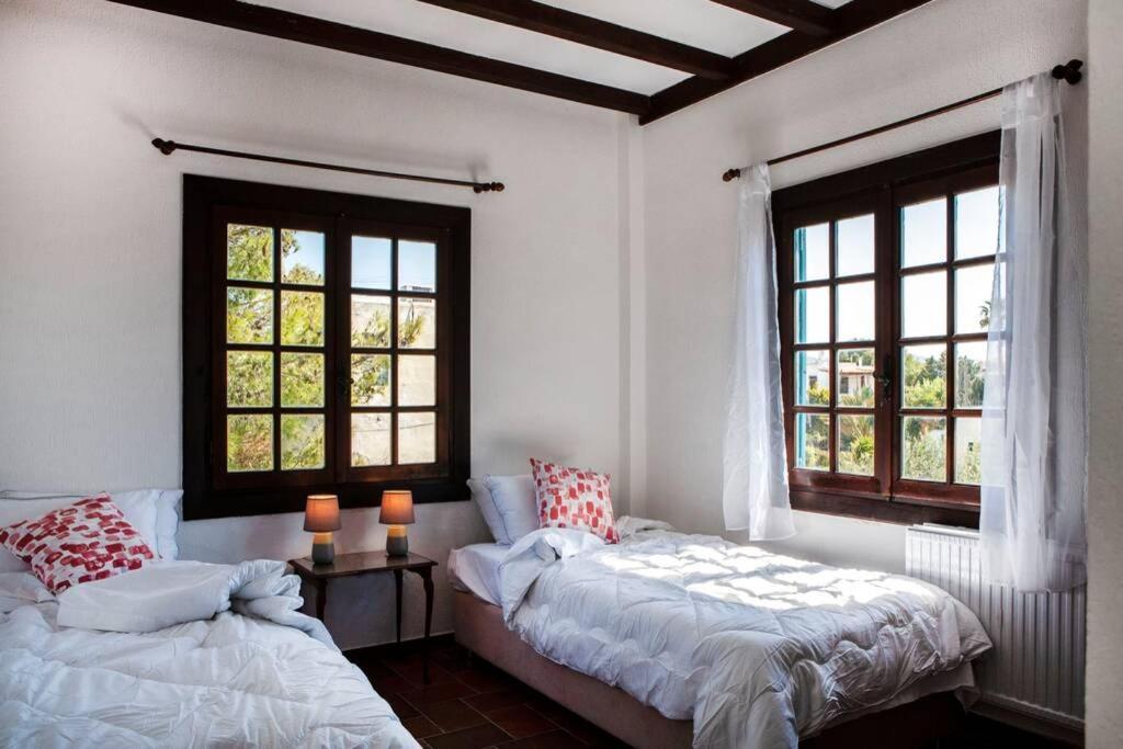 Velissarios: Wonderful Next To Villa Aegina