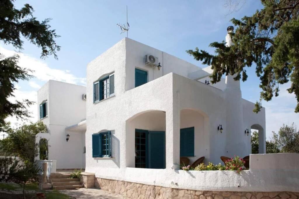 Velissarios: Wonderful Next To Aegina