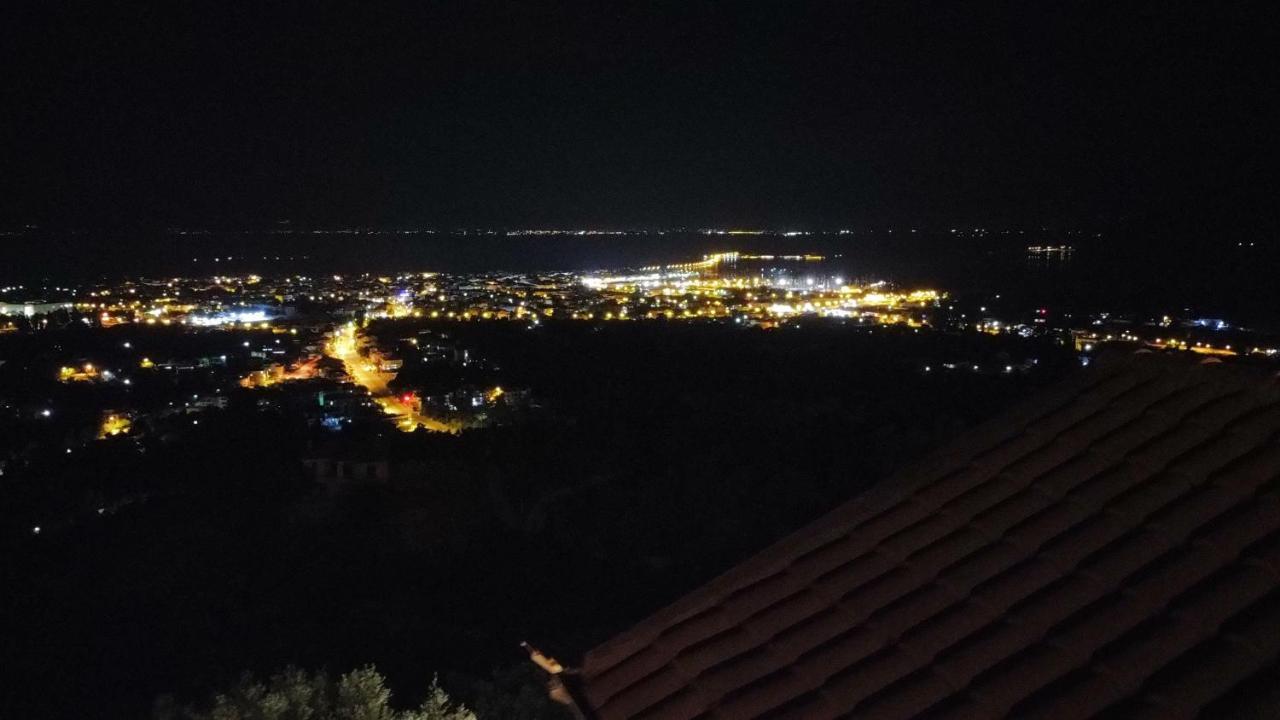 Apartment Irida