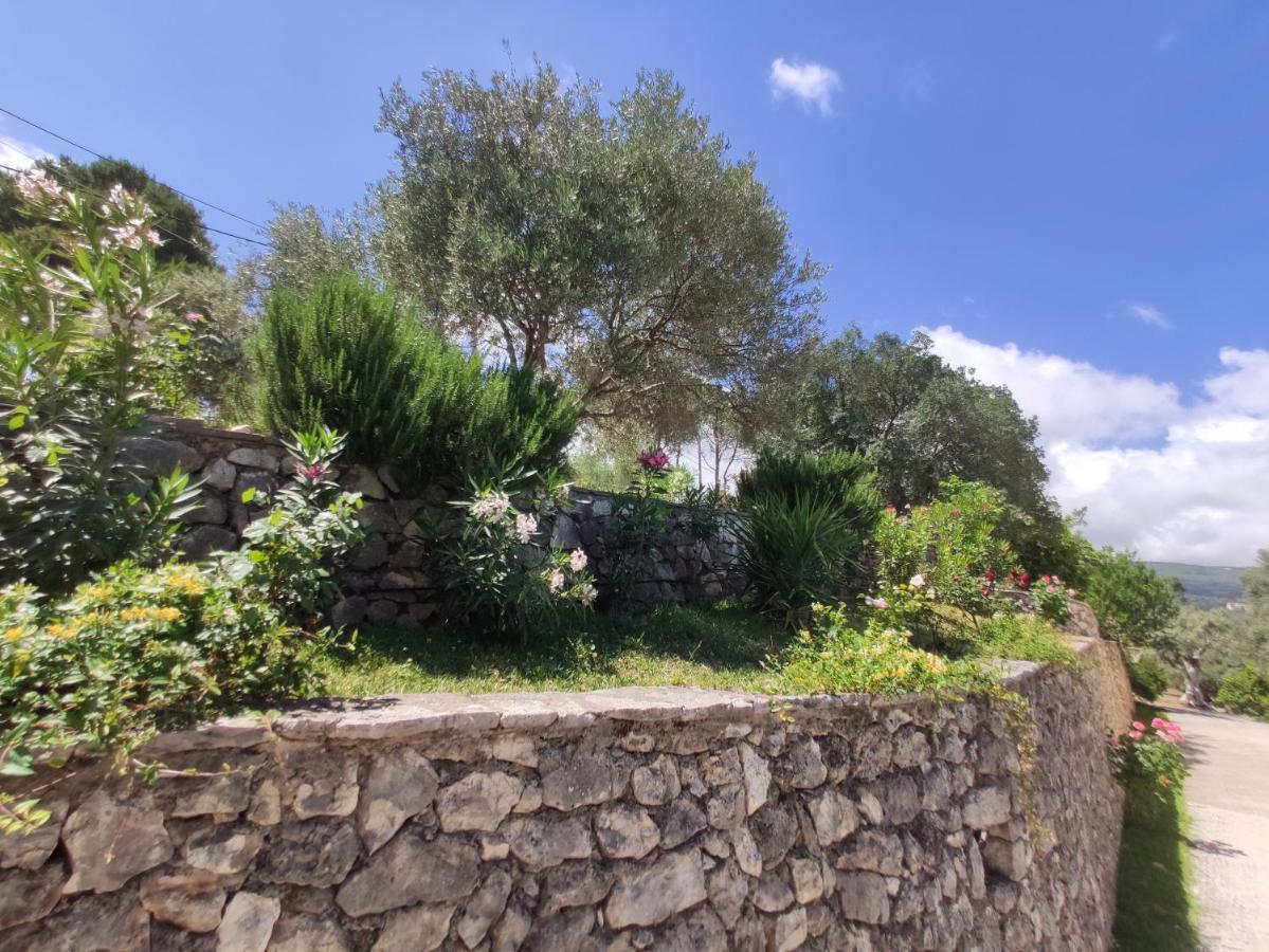 Apartment Irida *