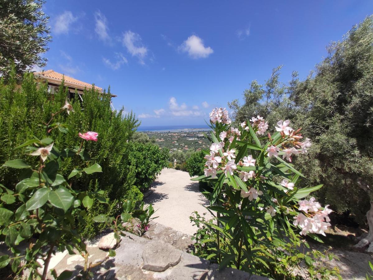 Apartment Irida
