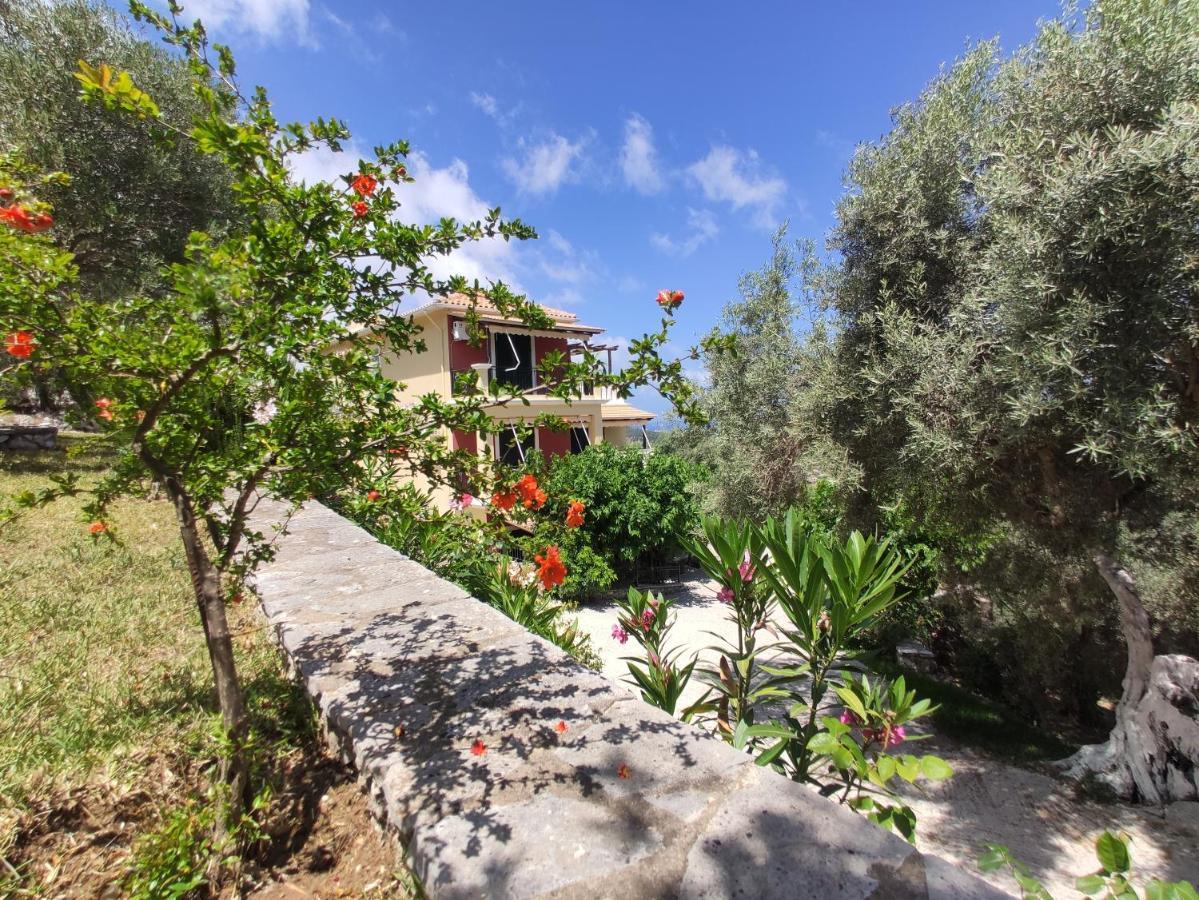 Apartment Irida
