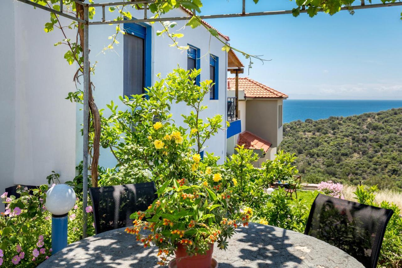 Happy Holiday home