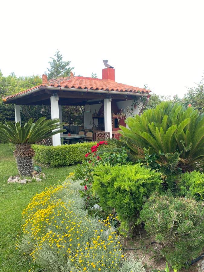 Dimitris Corinthian Holiday home