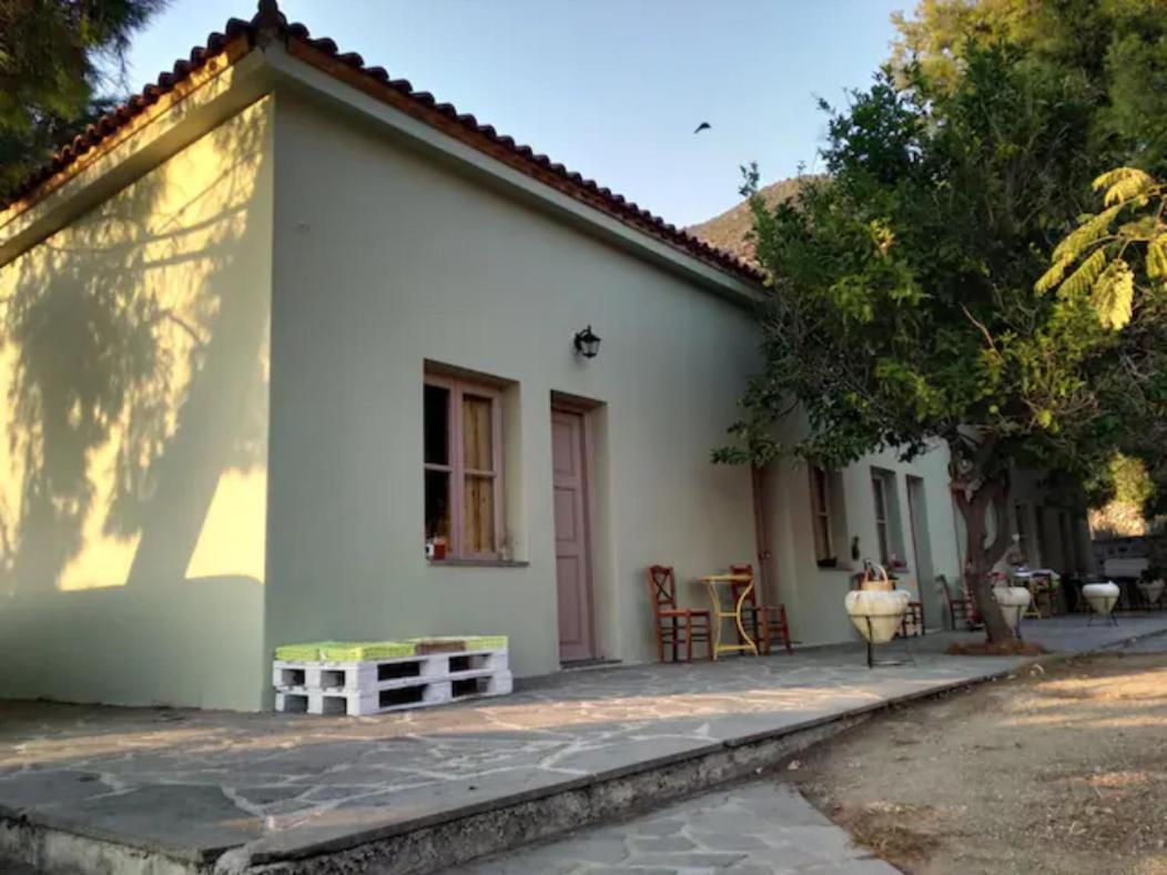 Guest house Arsinoe *