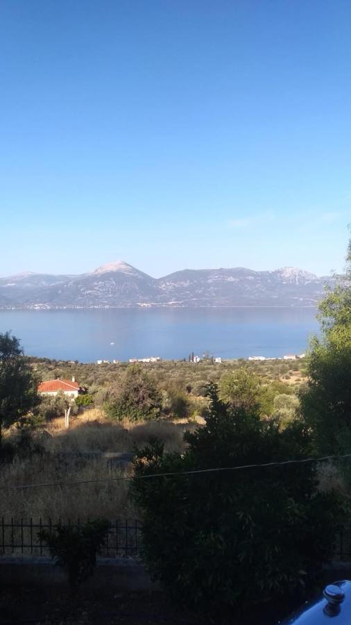Arsinoe Guest house *