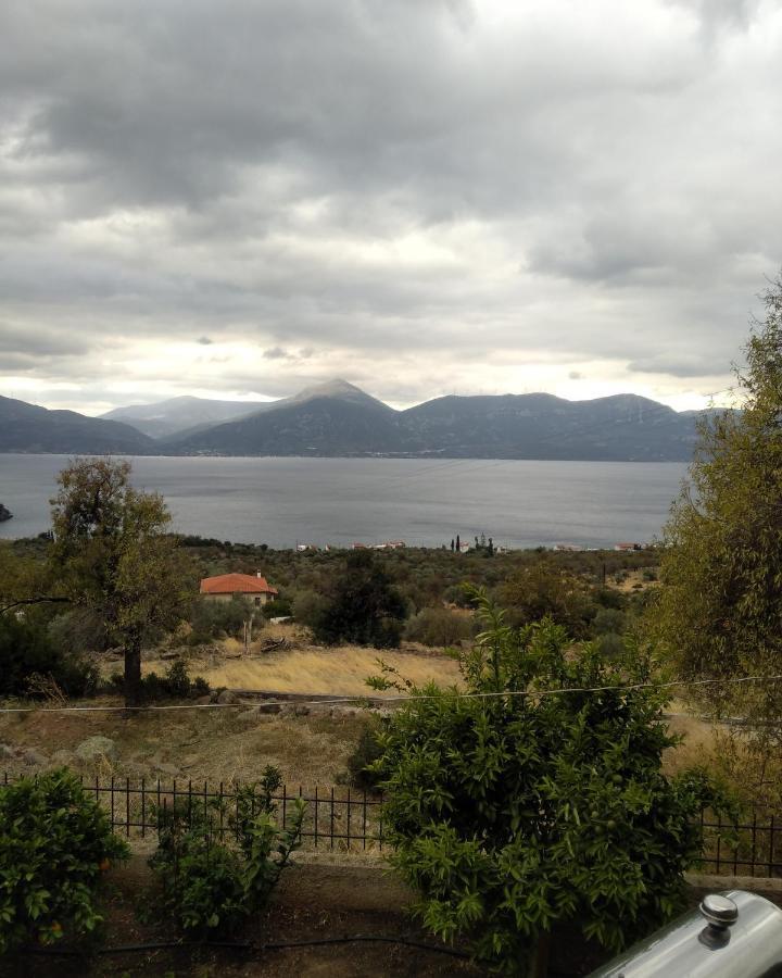 Arsinoe Guest house *