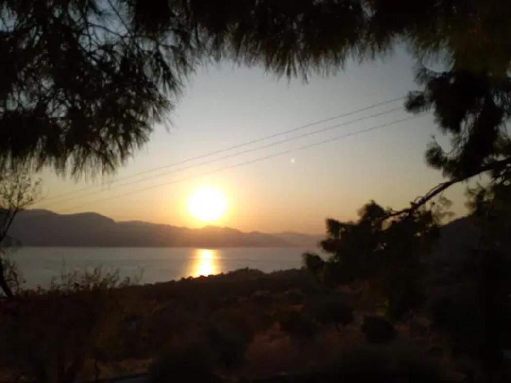 Arsinoe *