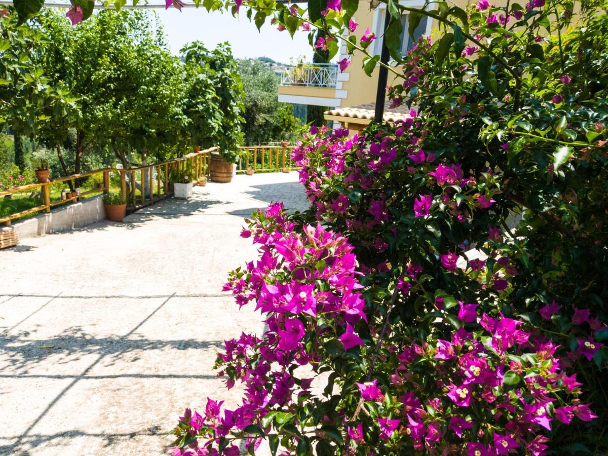 Linda House Corfu Apartment Gastouri (Corfu)