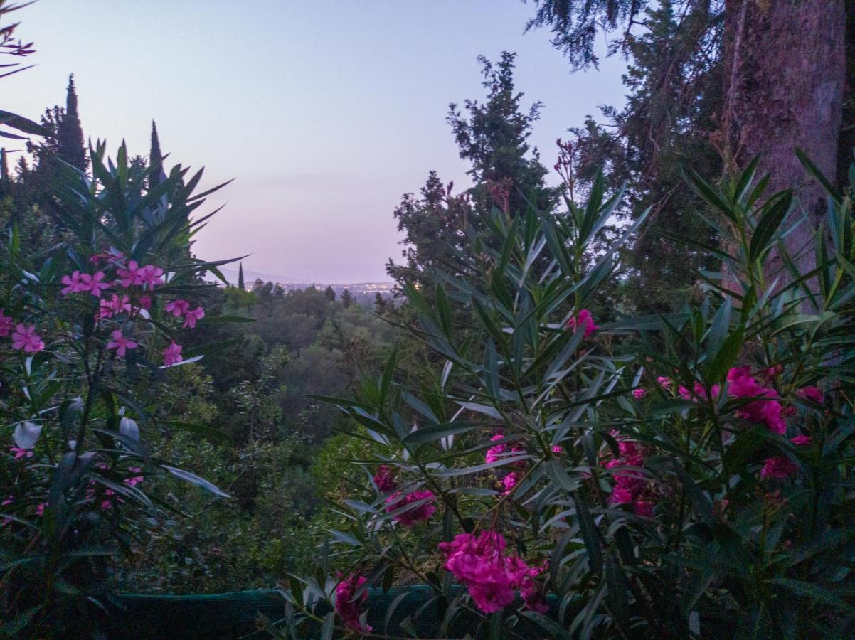 Linda House Corfu Apartment *